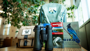 Bird Watching Kits Have Landed!