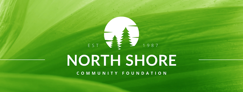 The North Shore Community Foundation Logo on a green background.